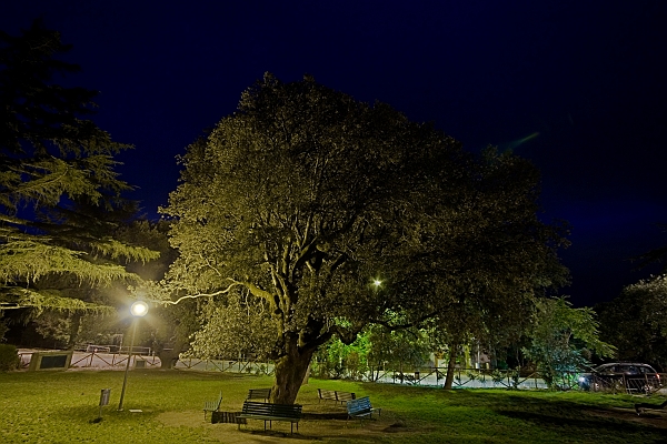 Ortobene, giardini by night - (IMG_2343-2347 Highlights Shadows - Auto (Photomatix).jpg
